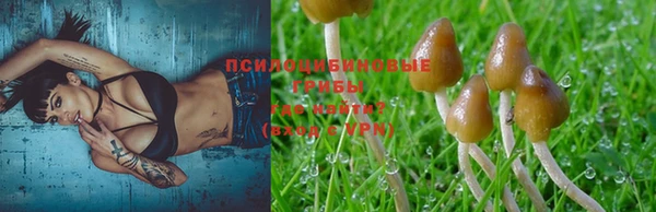 MESCALINE Алзамай