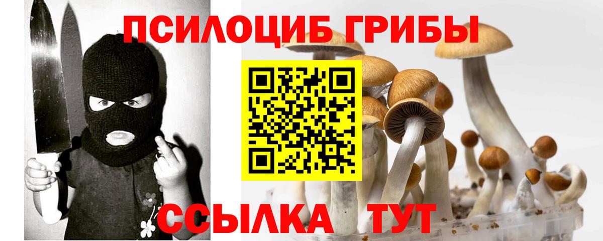 Кропоткин  Галлюциногенные грибы Psilocybe  Вход с VPN 